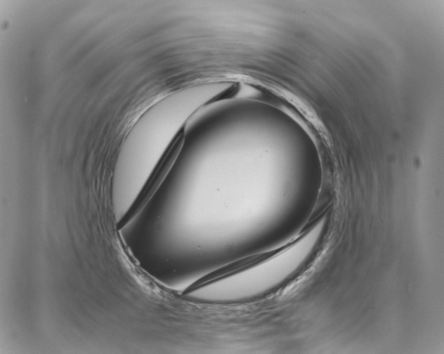 X0000087360905200704201144