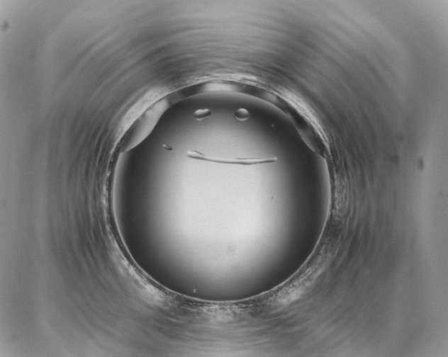X0000087360906200704201144