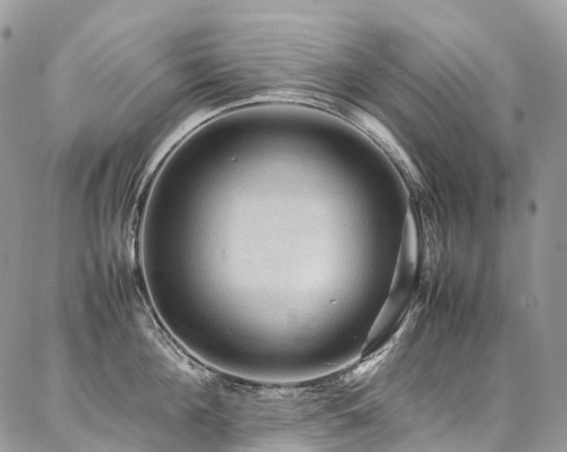X0000087360908200704201144