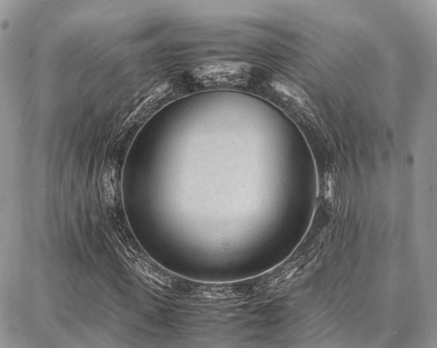 X0000087360915200704201143