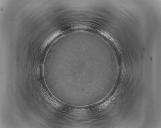 X0000087360921200704201143
