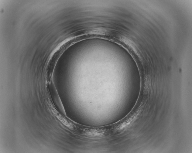 X0000087360923200704201143