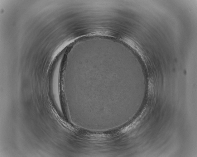 X0000087360925200704201143