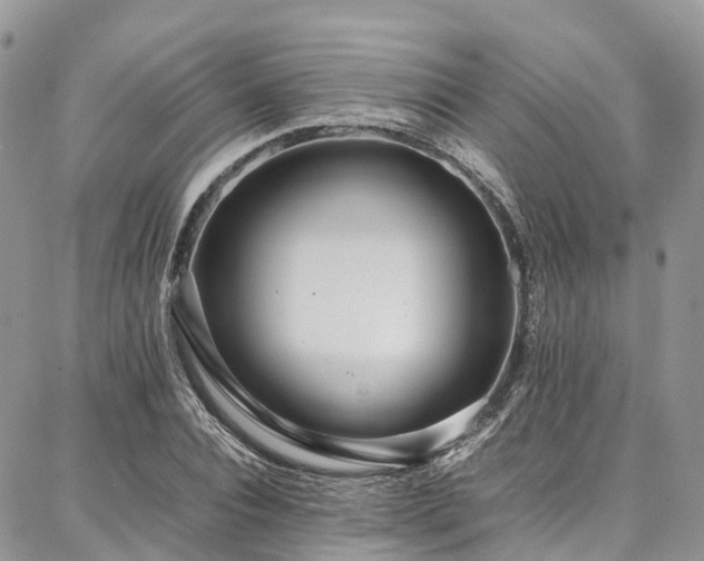 X0000087360928200704201143