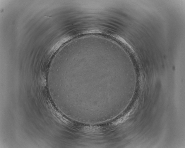 X0000087360929200704201143