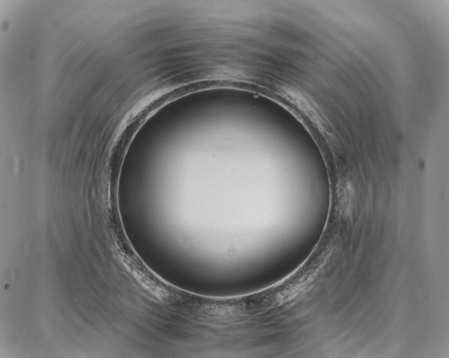 X0000087360931200704201143