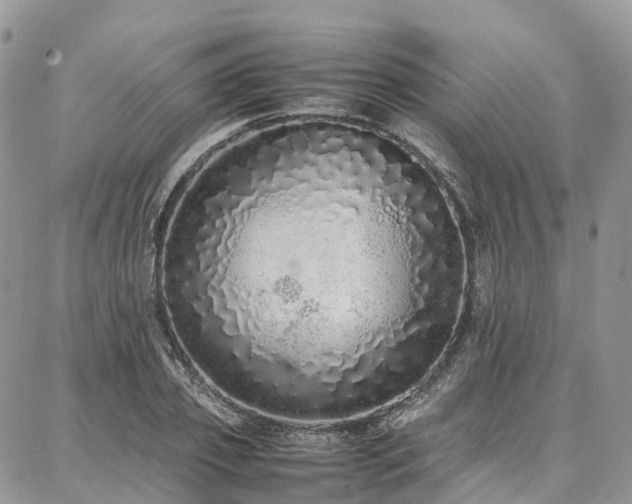 X0000087360933200704201143