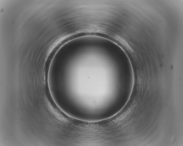 X0000087360934200704201143