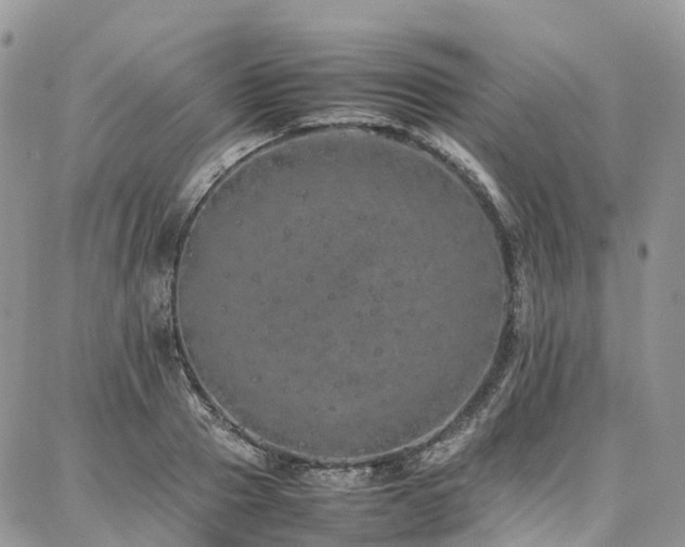 X0000087360937200704201143