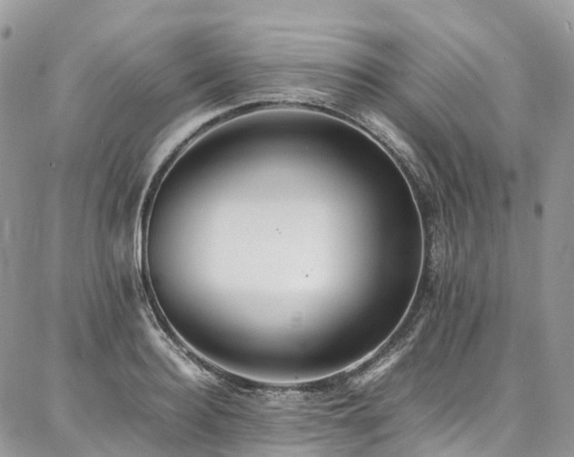 X0000087360940200704201144