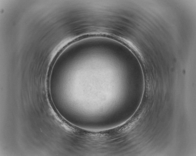 X0000087360943200704201144