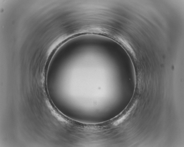 X0000087360944200704201144