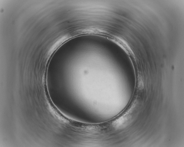 X0000087360946200704201144