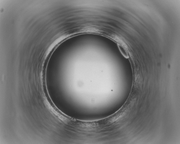 X0000087360947200704201144