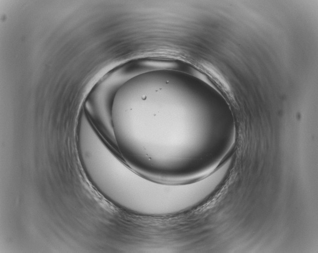 X0000087360948200704201144