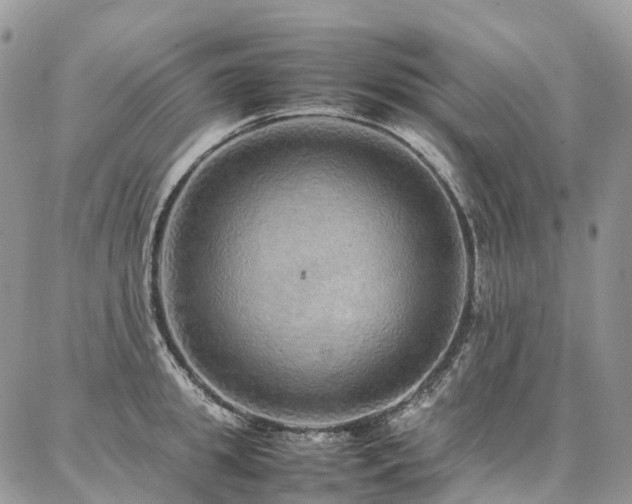 X0000087360949200704201144