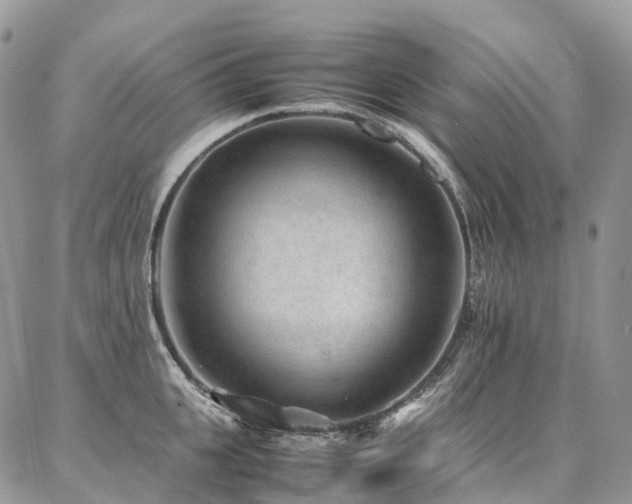 X0000087360951200704201144