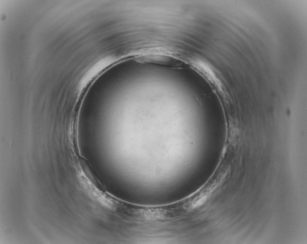 X0000087360952200704201144