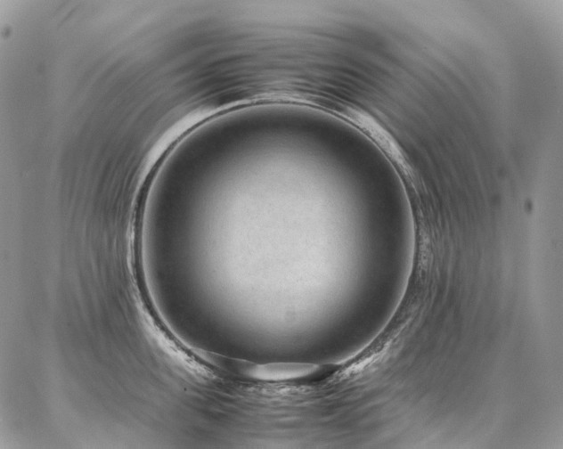 X0000087360955200704201144