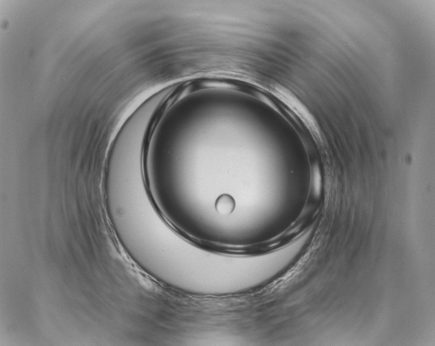 X0000087360956200704201144
