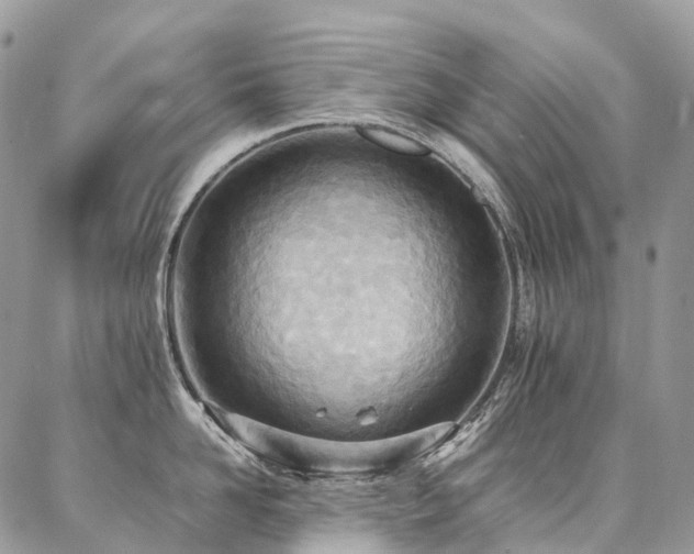 X0000087360958200704201144