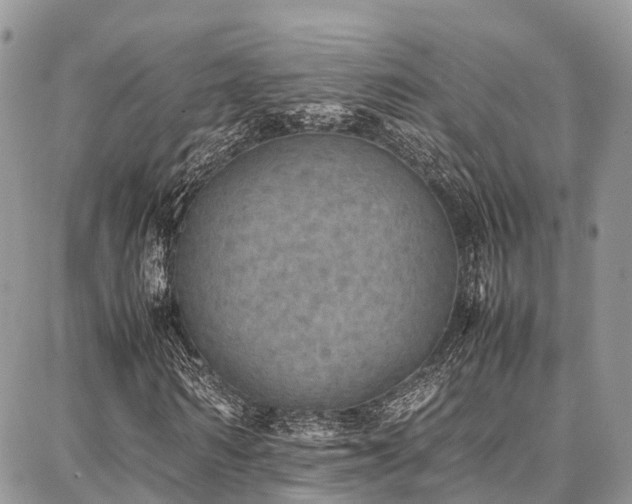 X0000087360962200704201143