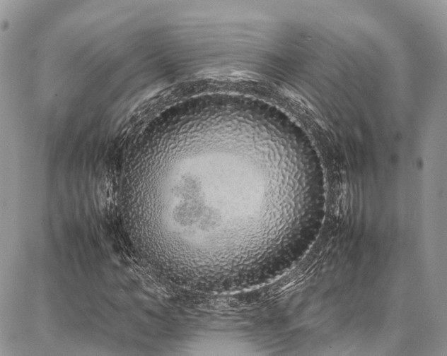 X0000087360966200704201143