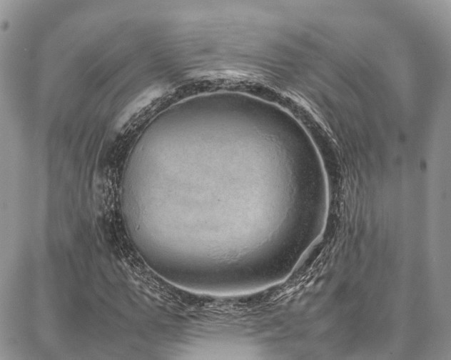 X0000087360967200704201143
