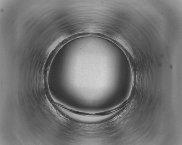 X0000087360972200704201143