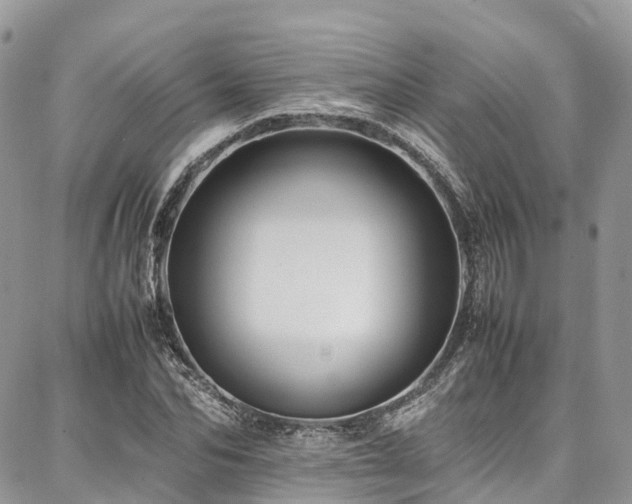 X0000087360974200704201143