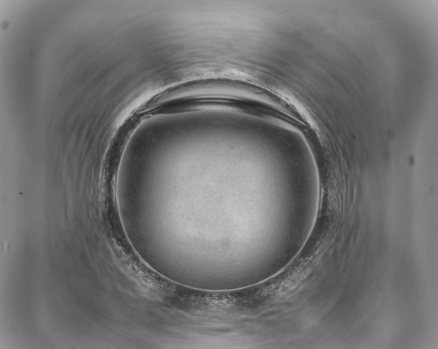 X0000087360975200704201143