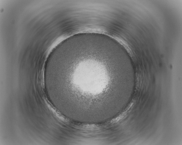 X0000087360982200704201143