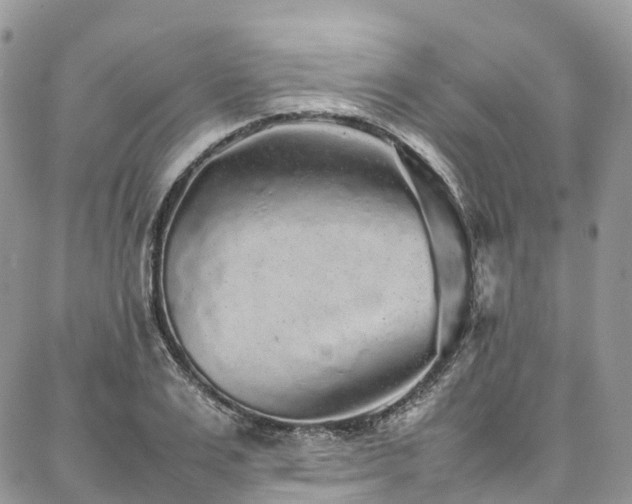 X0000087360983200704201143