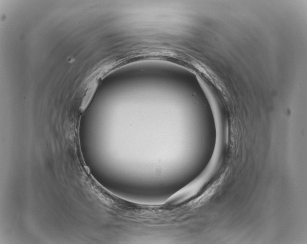 X0000087360985200704201143