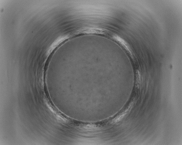 X0000087360986200704201143