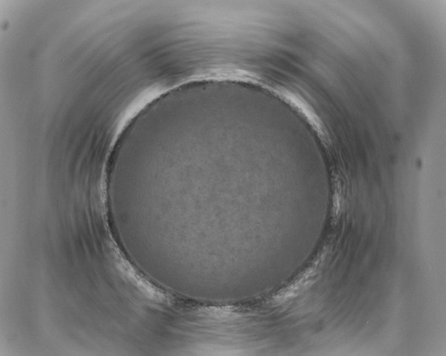 X0000087360990200704201143