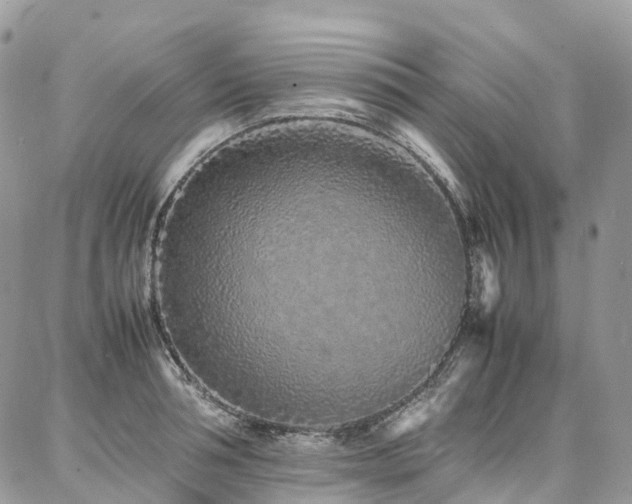 X0000087360994200704201143