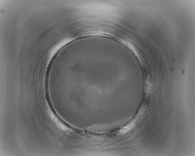 X0000087360995200704201143