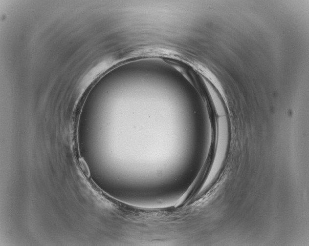 X0000087360997200704201142
