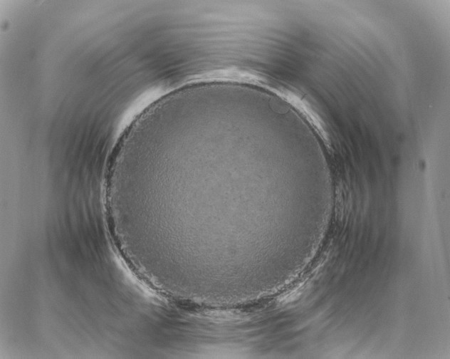 X0000087360998200704201142