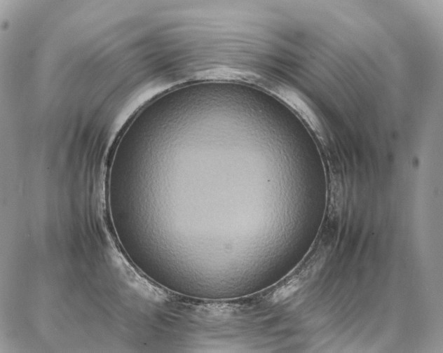 X0000087361000200704201142
