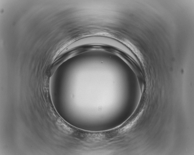 X0000087361001200704201142