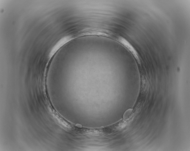 X0000087361002200704201142