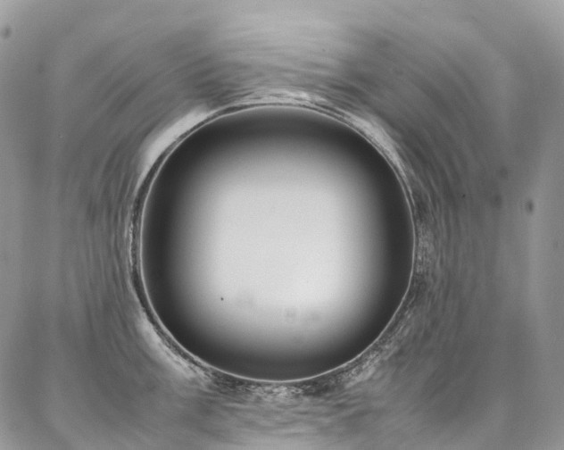 X0000087361003200704201142