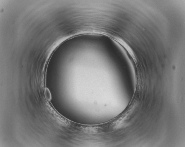 X0000087361004200704201142