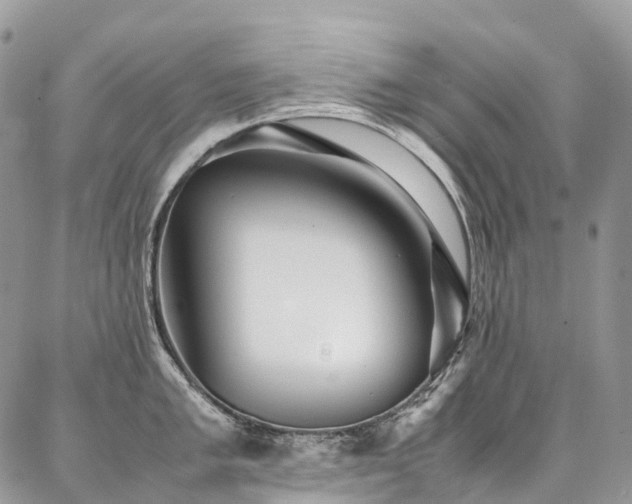 X0000087361005200704201142