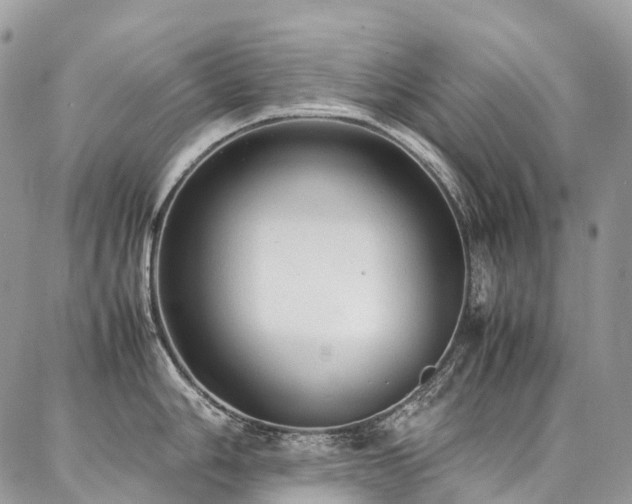 X0000087361006200704201142