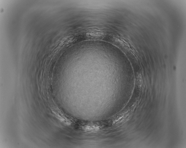 X0000087361009200704201142