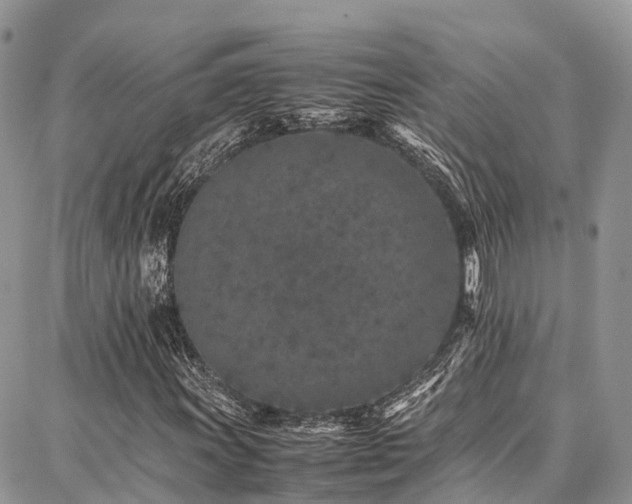 X0000087361011200704201142