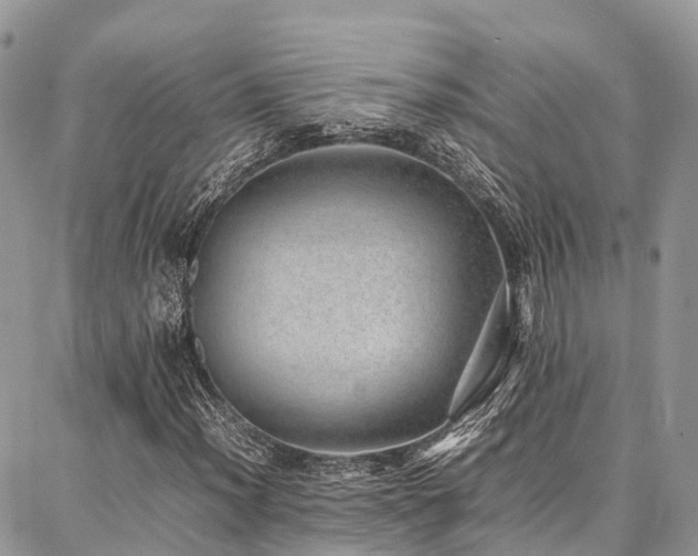 X0000087361012200704201142